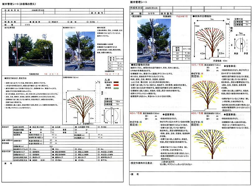 診断書と管理表