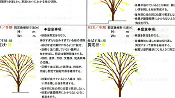 診断と治療