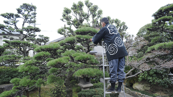 お庭の管理（個人邸）