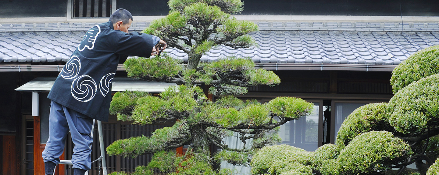 さつき造園・樹木医 | 大阪の植木屋