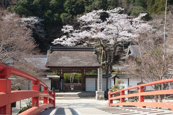 02室生寺サイズ調整