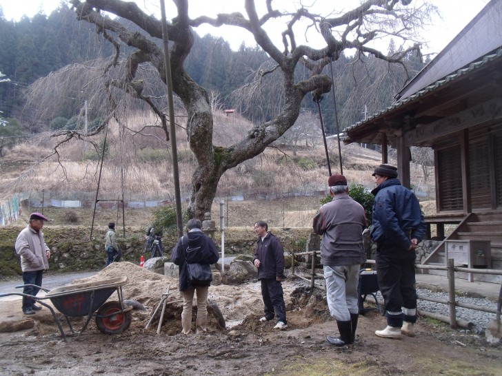 樹木医　西光寺　奈良テレビ