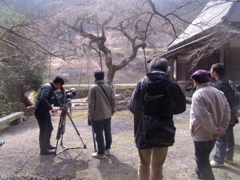 西光寺　奈良テレビ　樹木医