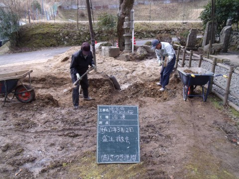 樹木医　桜治療