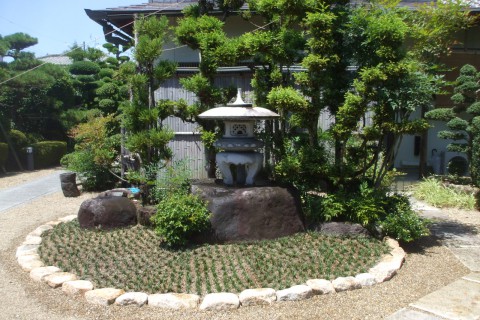 タマリュウ　和風庭園