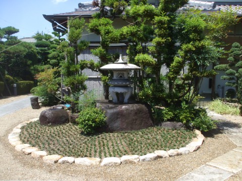 タマリュウ　和風庭園