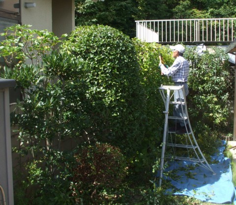 大阪　植木屋　