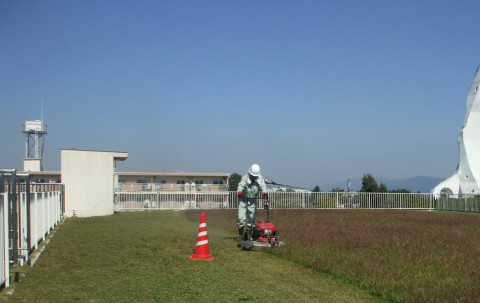 大阪　富田林　