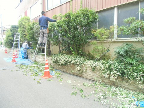 植木職人