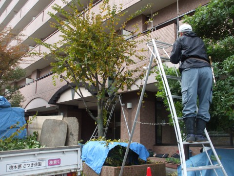 マンション　植木管理　大阪